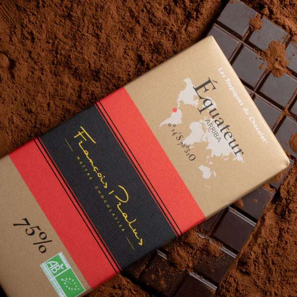 cacao equateur organic