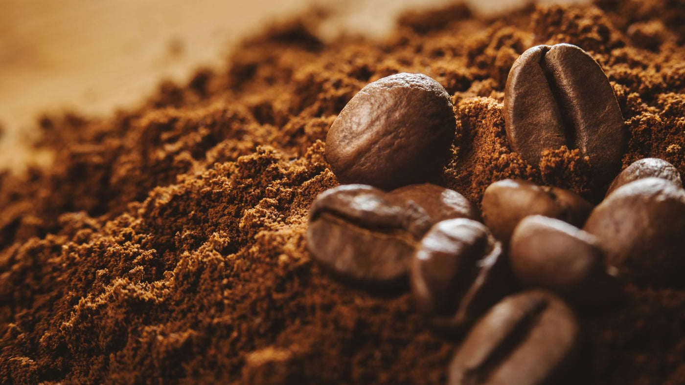 Quel est le meilleur café moulu en 2026