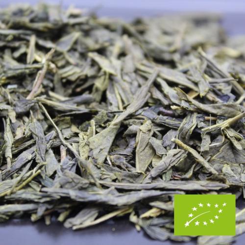 sencha special infusion