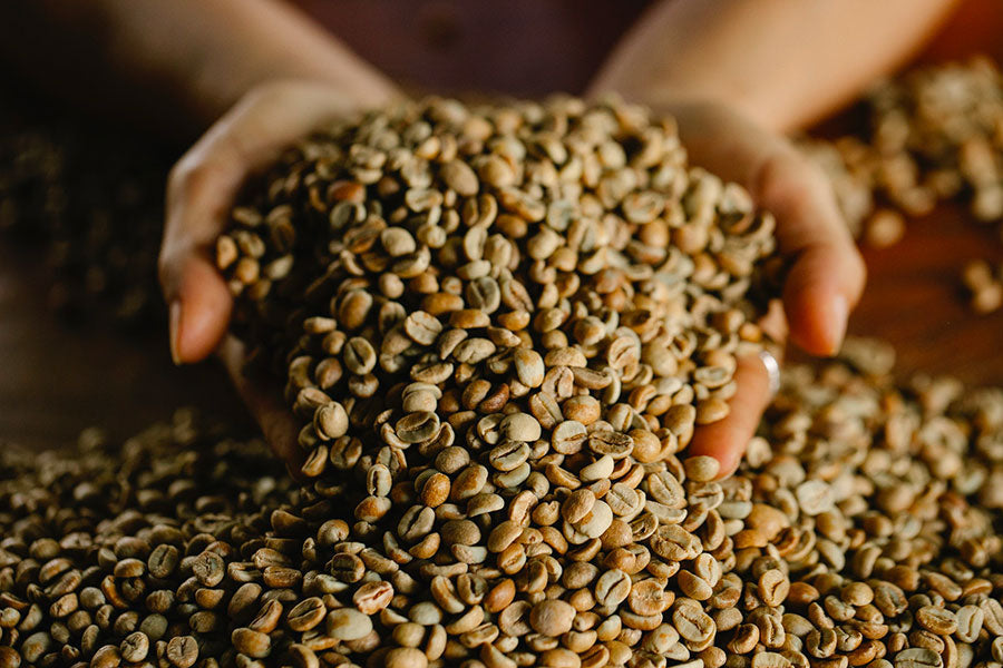 La torréfaction artisanale - Graindecafe