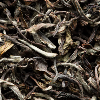 infusion the Darjeeling