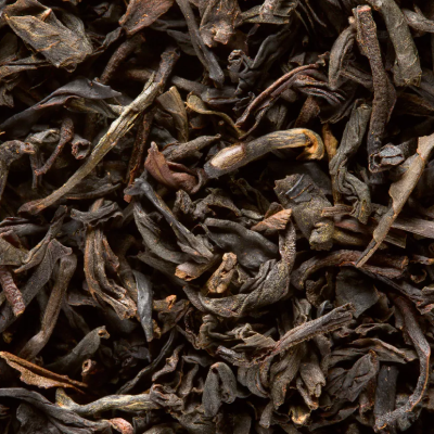 infusion the noir