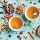 Toutes nos infusions