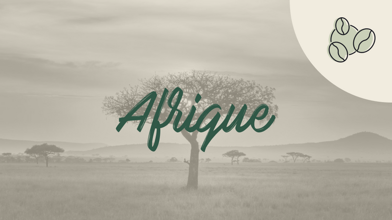 cafe d Afrique