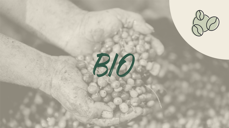 cafe grains Biologique