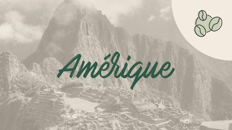 cafe Amerique grains