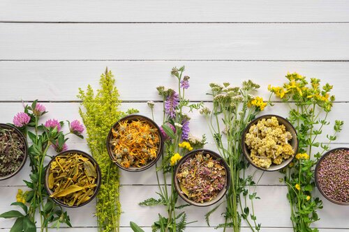 Infusions d ici