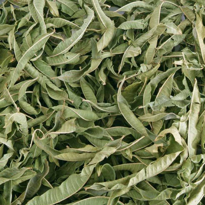 Infusion verveine