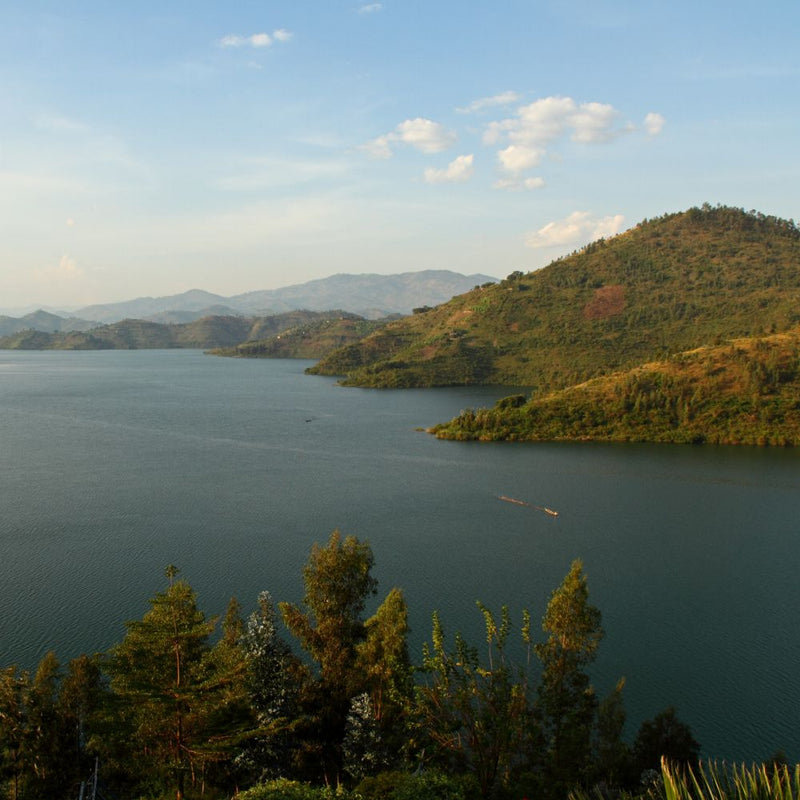 Le Lac Kivu : un terroir volcanique hors du commun