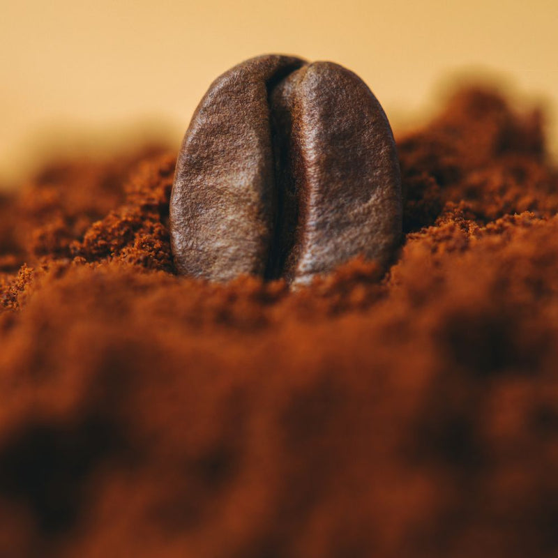 100% Arabica torréfié en Auvergne : l'origine du profil équilibré du Blend Fifty