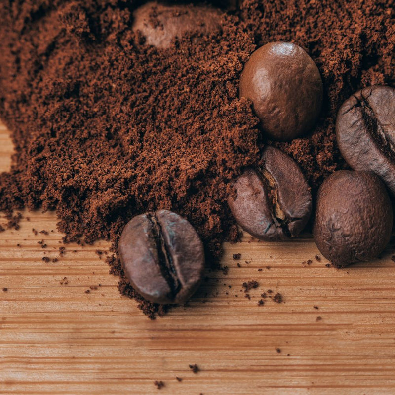 Filtre V60, Aeropress, cafetière piston : quelle méthode pour l'Inde Plantation ?