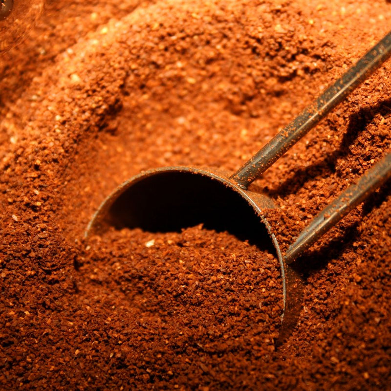 Royal Moka en méthodes filtrées et en expresso : comment révéler ses arômes ?
