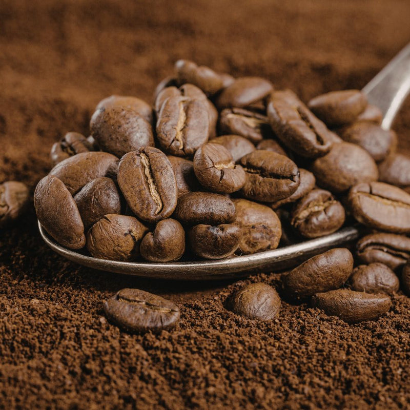 Yellow Bourbon : la variété d'arabica qui a façonné le café brésilien de qualité