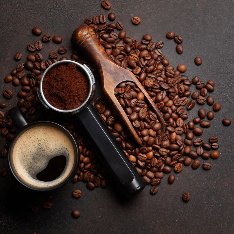Honduras Lenca en méthodes d'infusion : Hario, Aeropress, cafetière manuelle