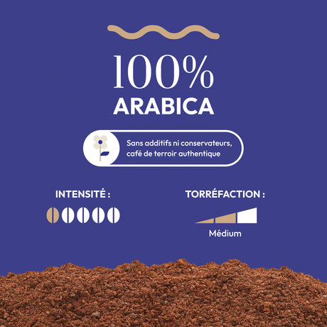 Grains de café Santos Tradition aux notes de chocolat et caramel