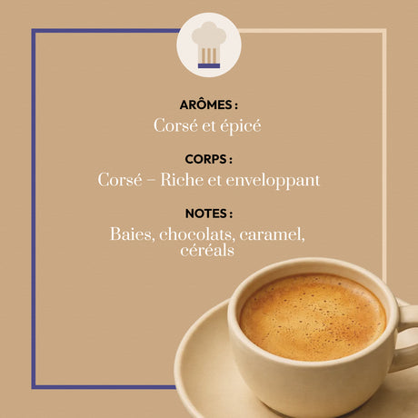 Café en grains BIO Buna Lekemp du Café Bonnac