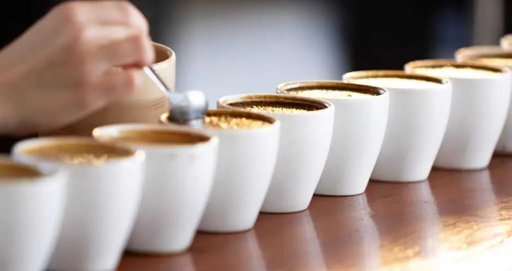 cupping cafe decafeine