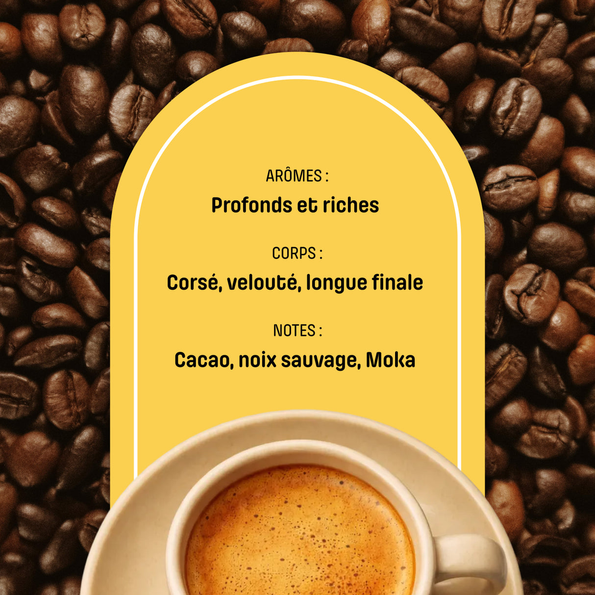 Café en Grain Presto Intenso, torréfaction italienne