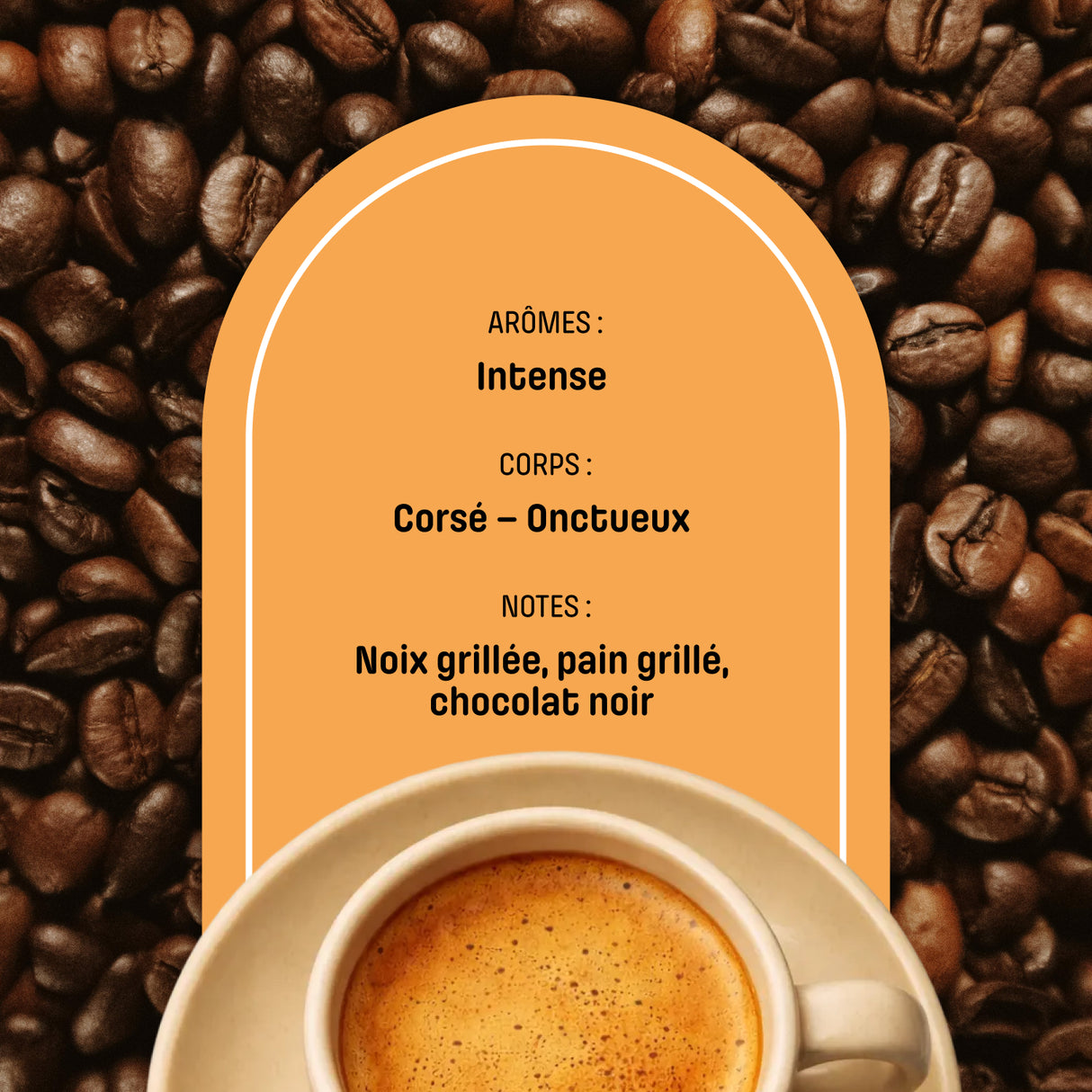 Café en Grain Blend Pietro Presto, assemblage 100% Arabica aux notes italiennes