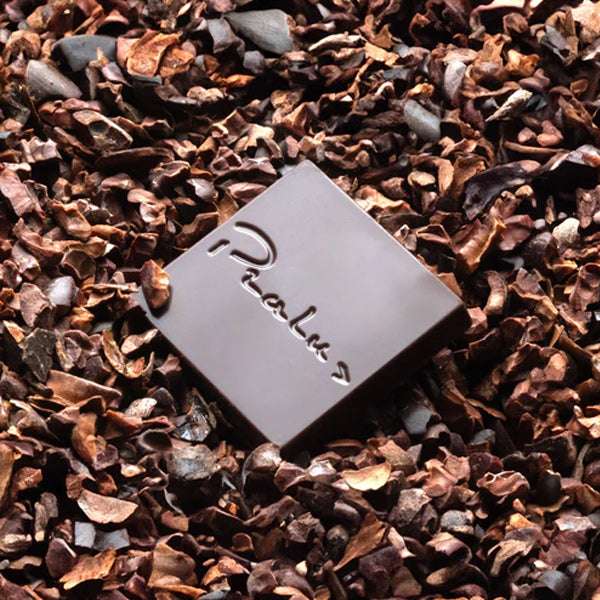 carres cacao organic