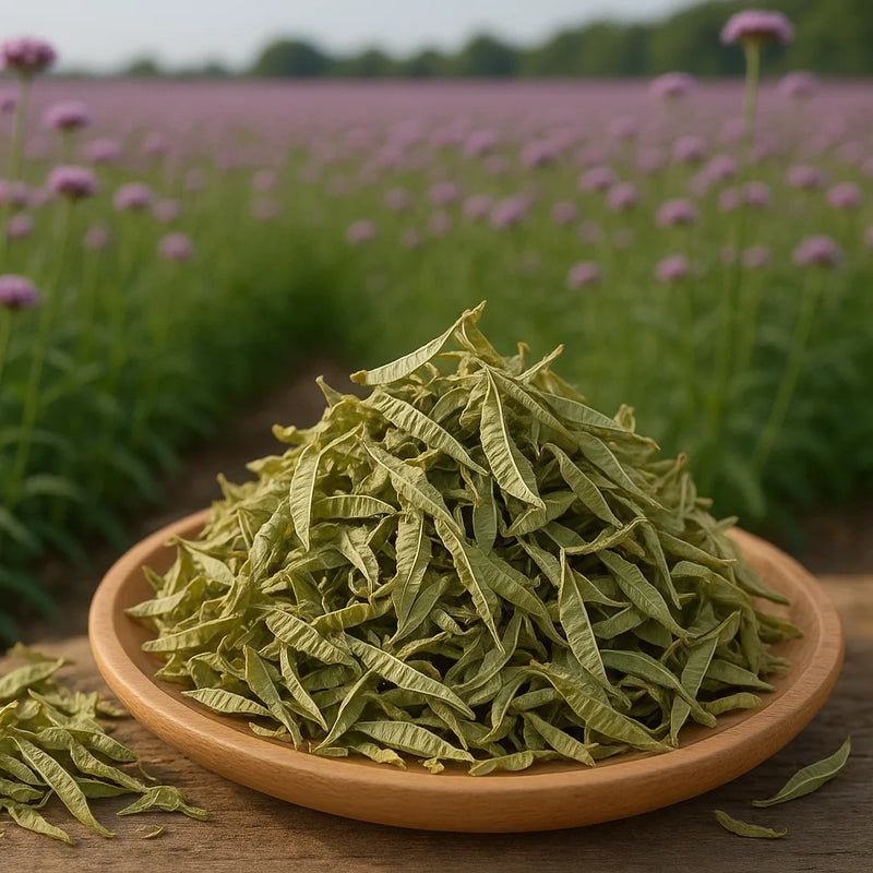 categorie infusion verveine