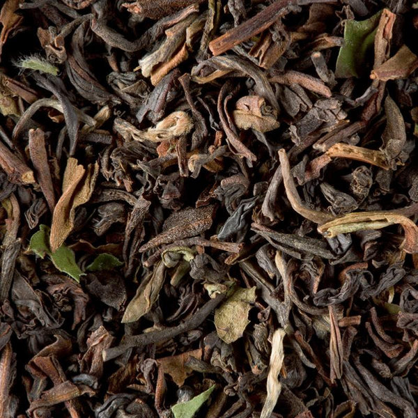 darjeeling printemps gfop