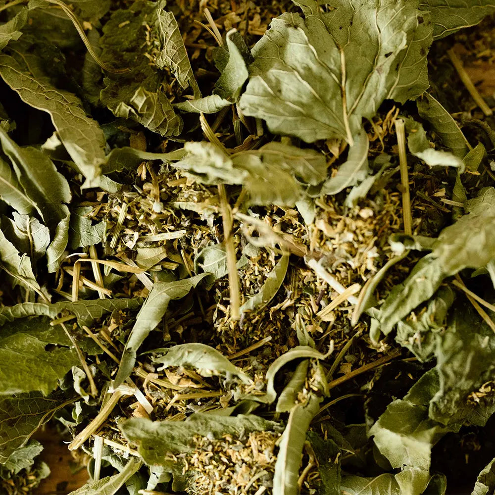 Tisane la detente d'infusions d'ici