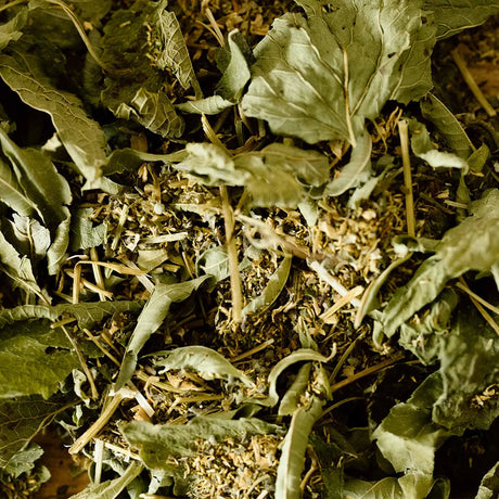 Tisane la detente d'infusions d'ici