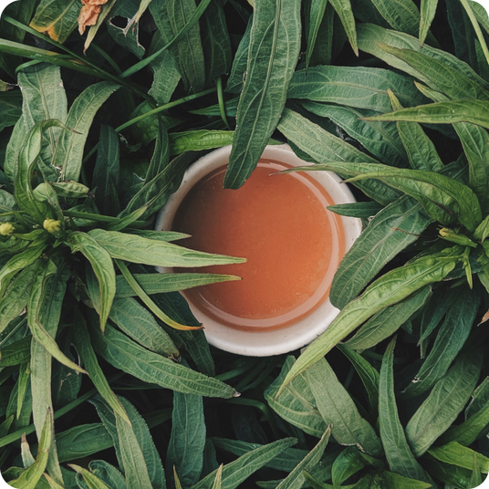 feuille de thé et tasse