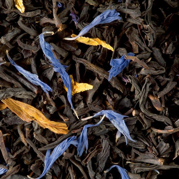 jardin bleu 041a4600