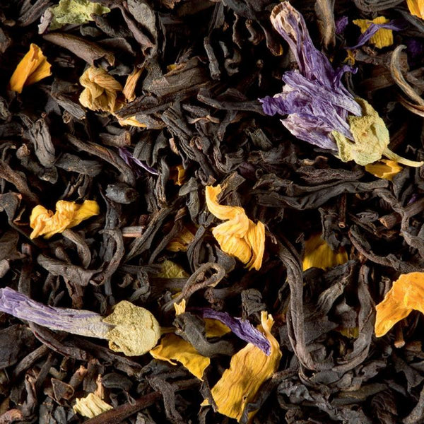 blend venitien