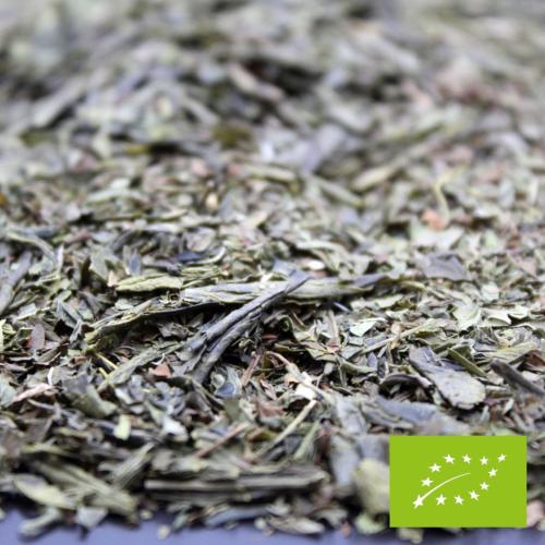 menthe verte infusion