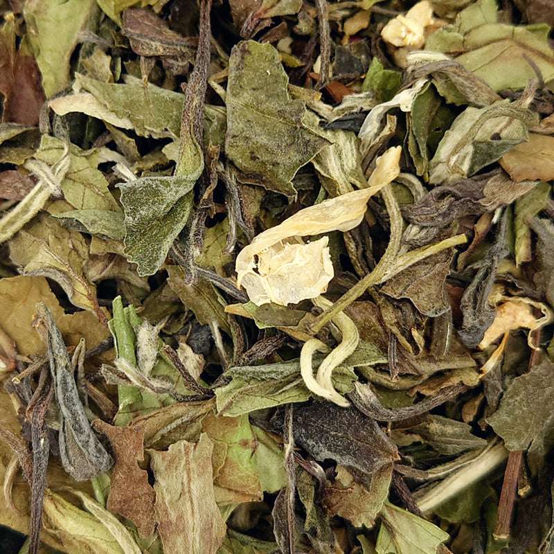 infusion the blanc