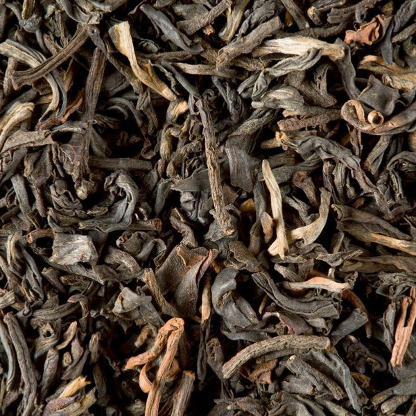 infusion the chine