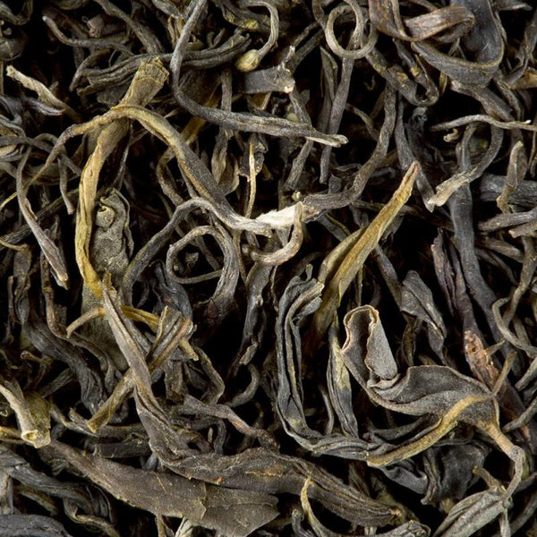 infusion the chine