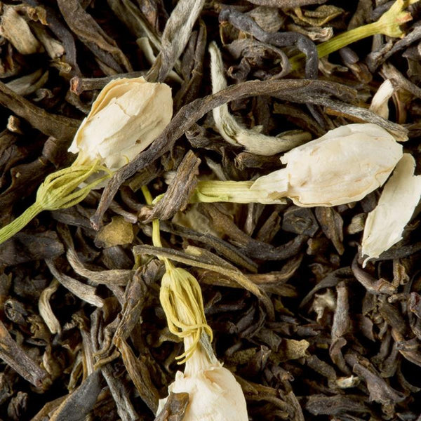 infusion the chine