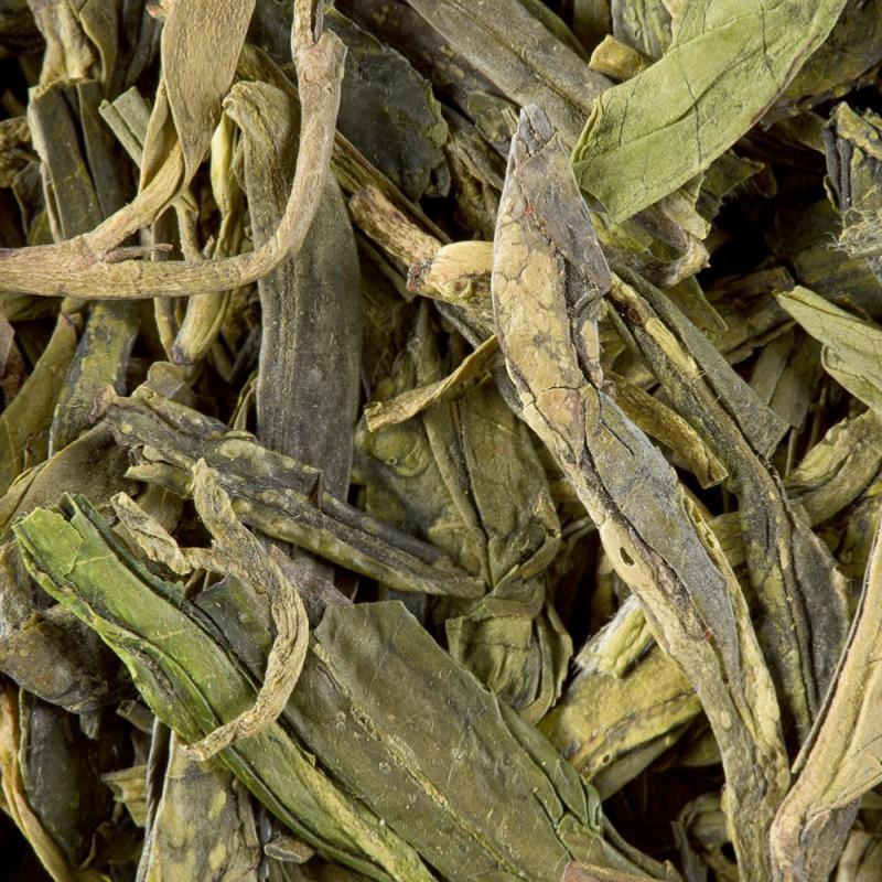 infusion the chine