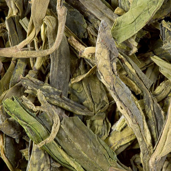infusion the chine
