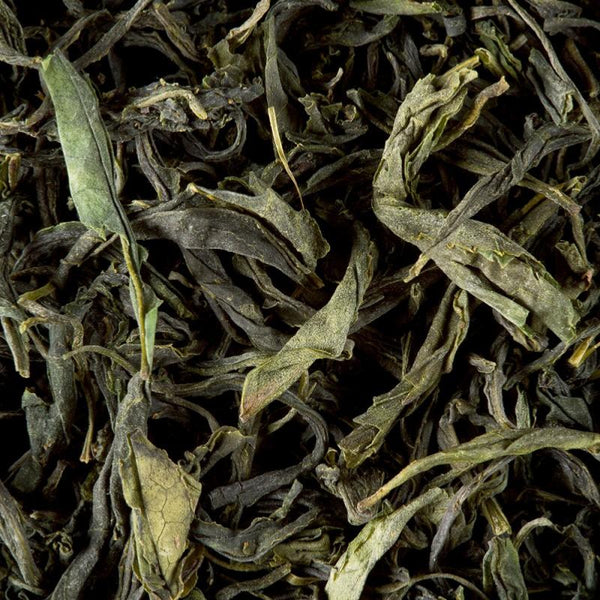 infusion the chine