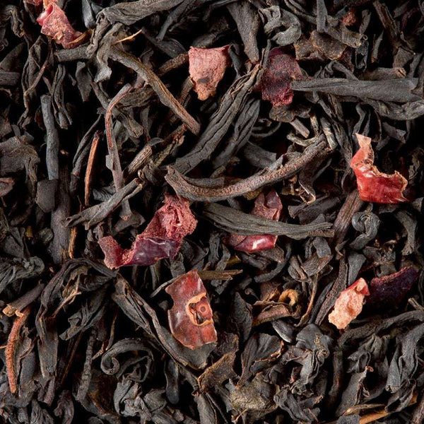 infusion the noir
