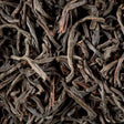 infusion the noir