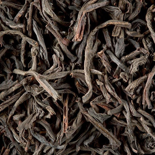 infusion the noir