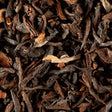 infusion the noir