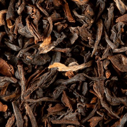 infusion the noir