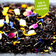 infusion the noir