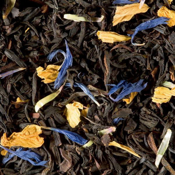 infusion the noir