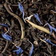 infusion the noir