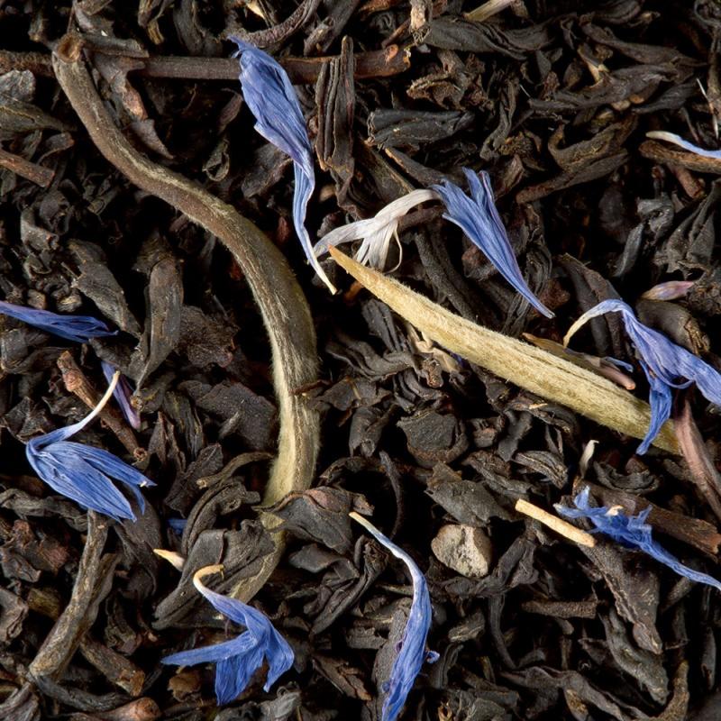 infusion the noir