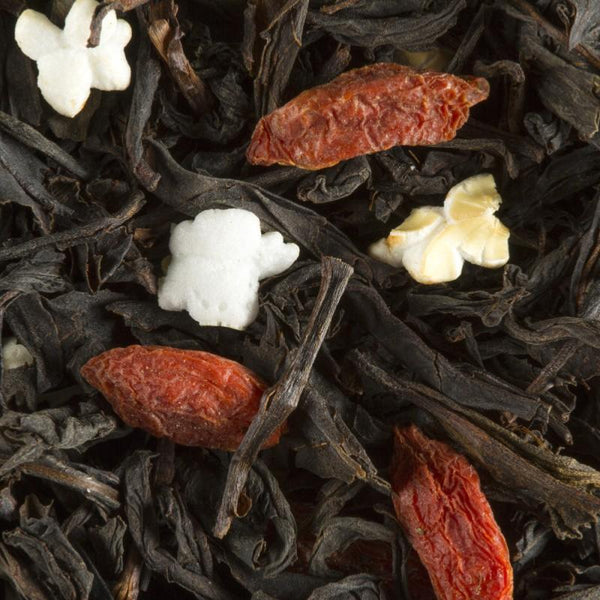 infusion the noir