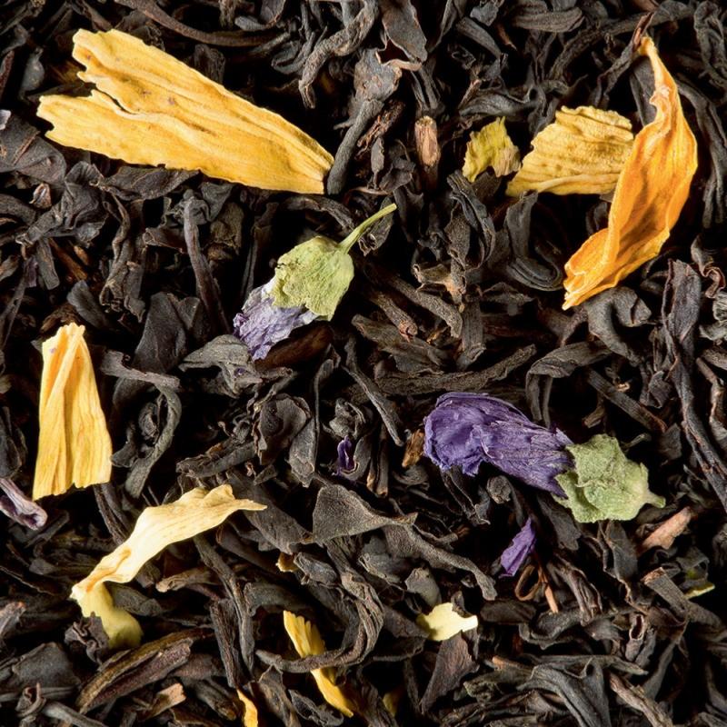 infusion the noir